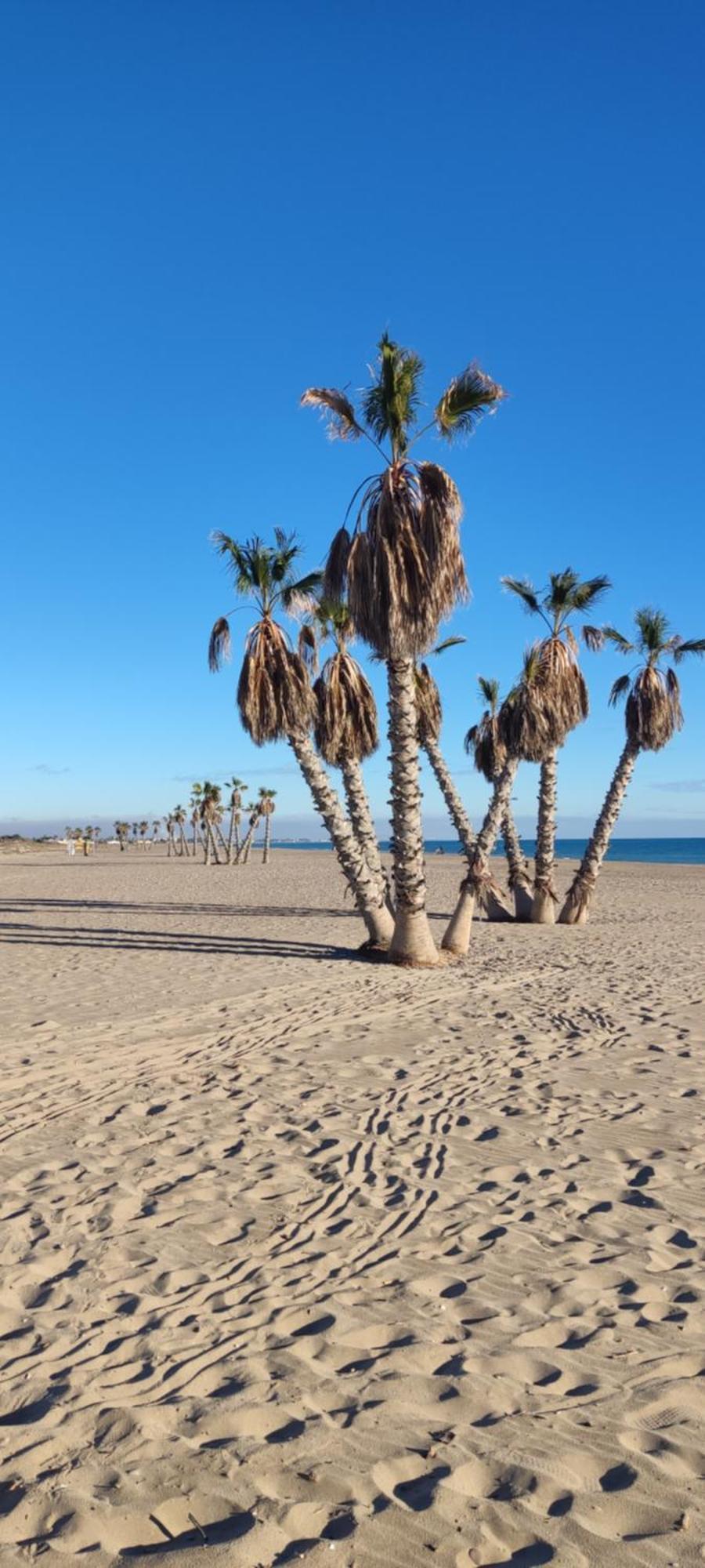 דירות Canet d'En Berenguer Balcon Del Mar מראה חיצוני תמונה